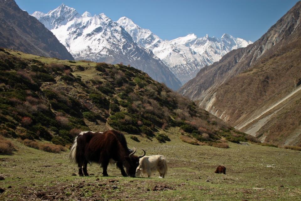 Best Time to Trek Tsum Valley