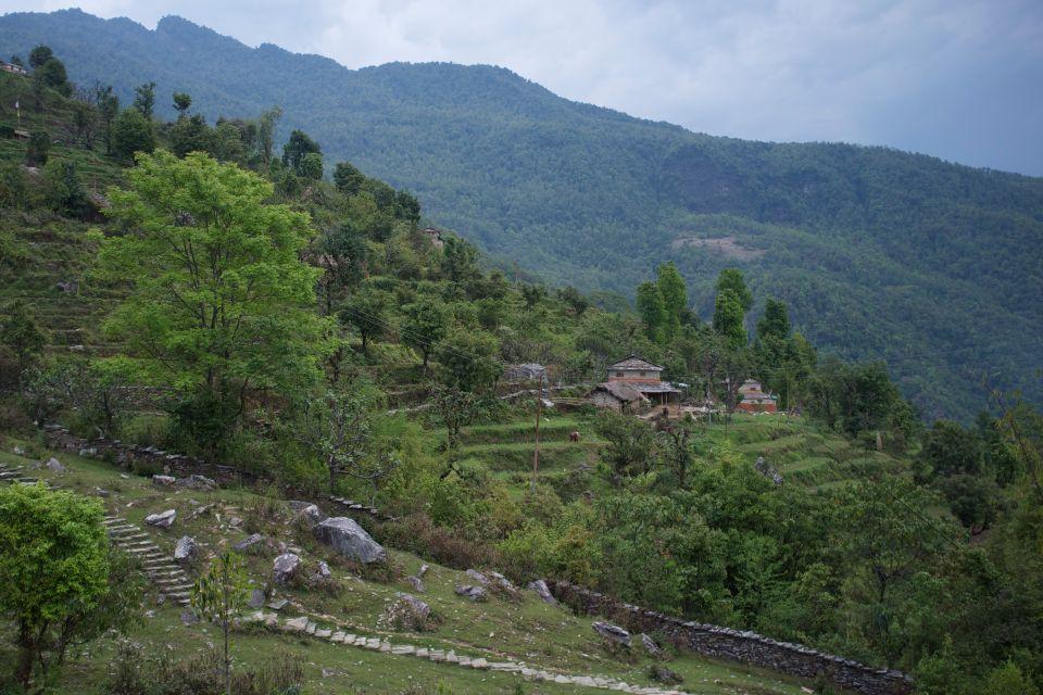 Best Time for Panchase Trek