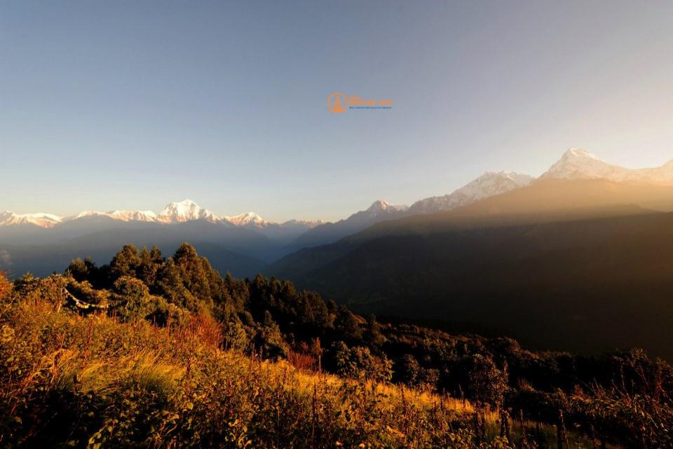 Sunrise vs. Sunset on the Poon Hill