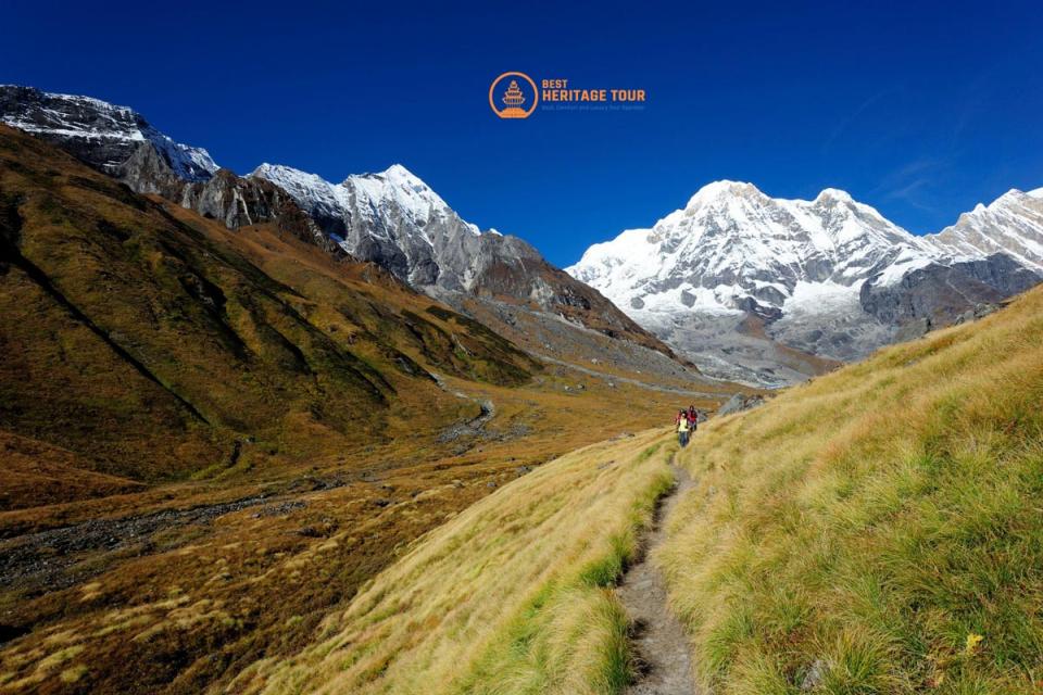 Annapurna Base Camp Trek vs Mardi Himal Trek