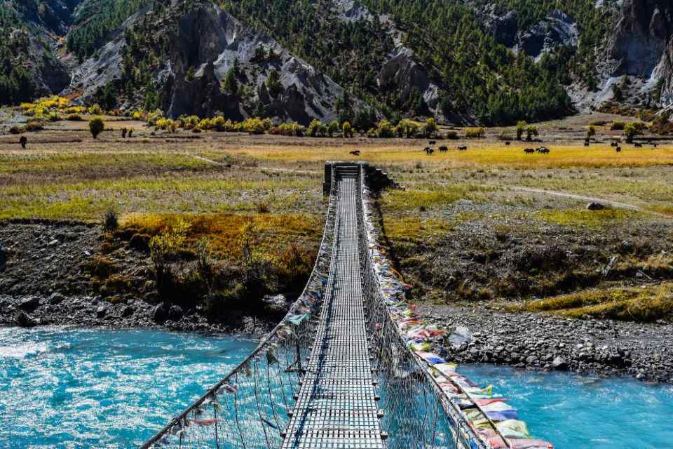 Annapurna Circuit vs. Dhaulagiri Circuit