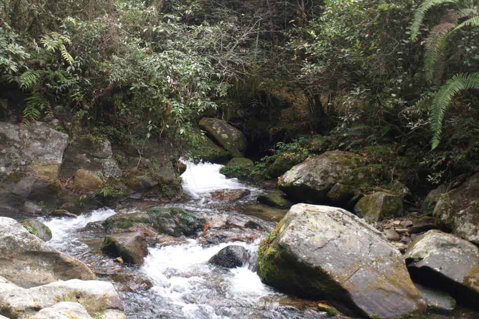Ultimate Guide to Chisapani-Nagarkot Trek