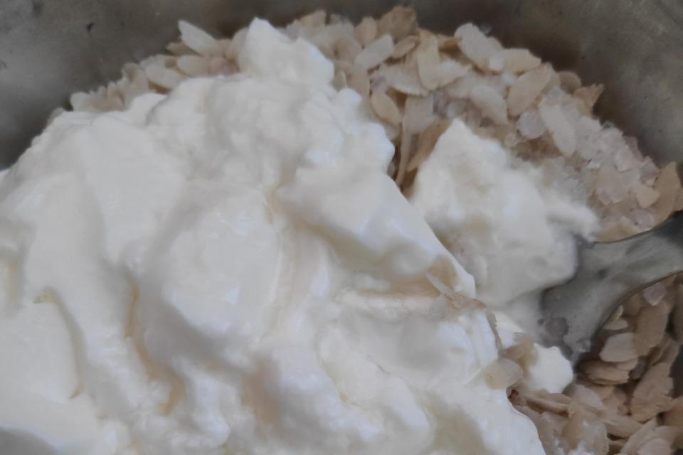 A Guide to Dahi Chiyura Khane Din
