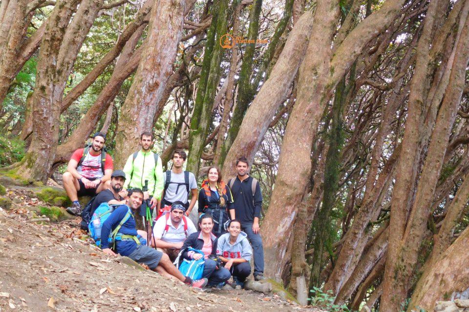 Poon Hill Trek in October