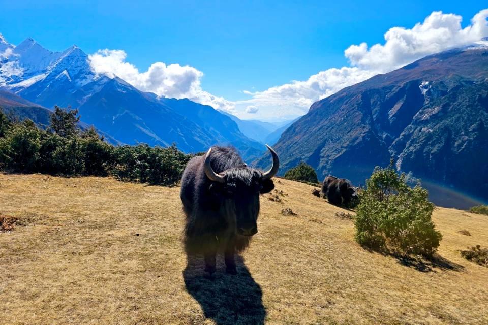 Everest Trek During Summer