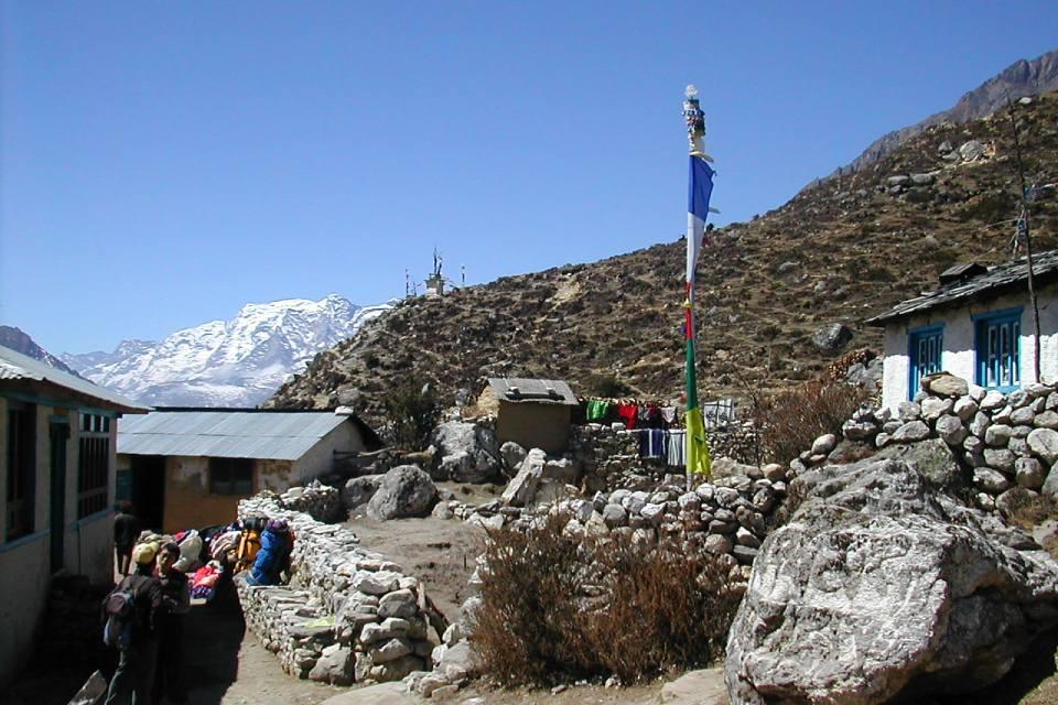 Trekking Poles for EBC Trek