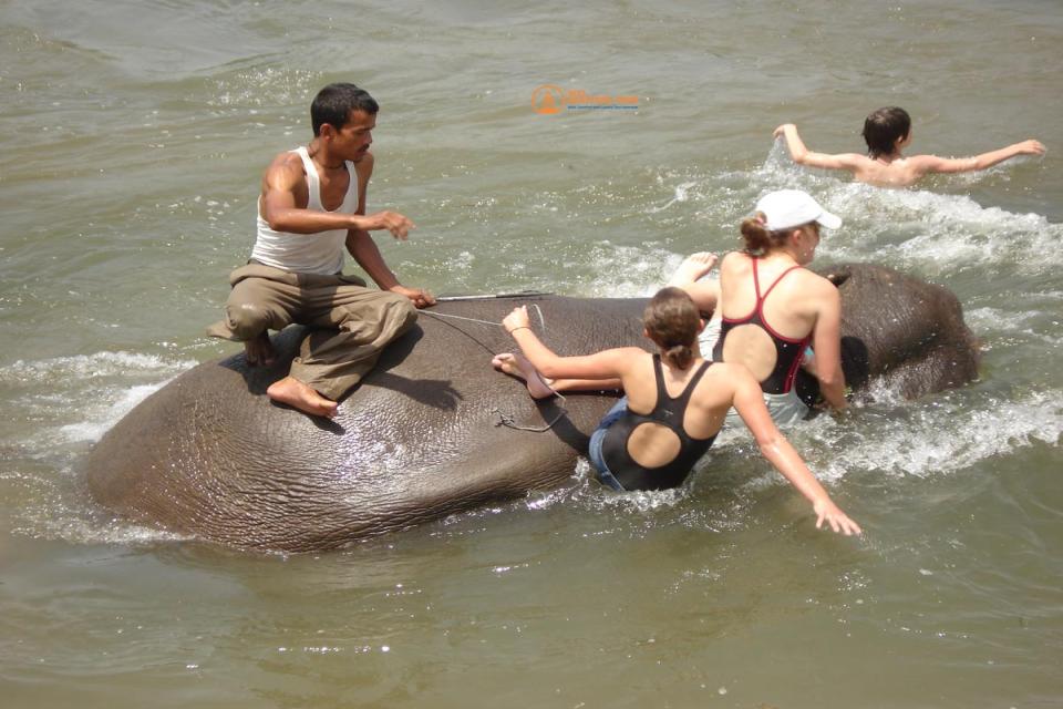 Family Tours in Nepal