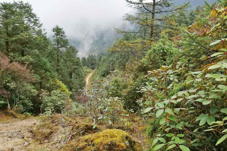 How Difficult is the Helambu Trek?