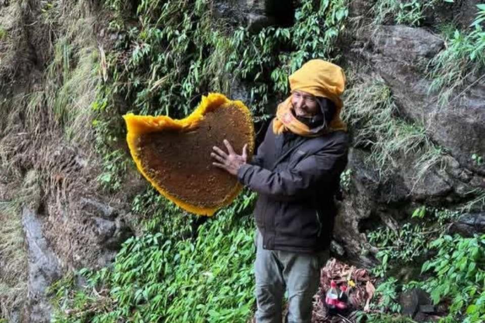 Mad Honey Hunting 2027 Guide