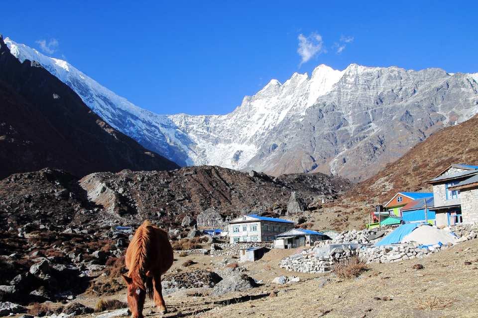 Reasons to Choose the Langtang Valley Trek