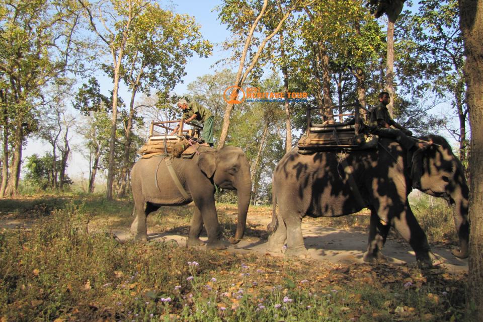 Discover Nepal 2025: Trek, Tour & Adventure