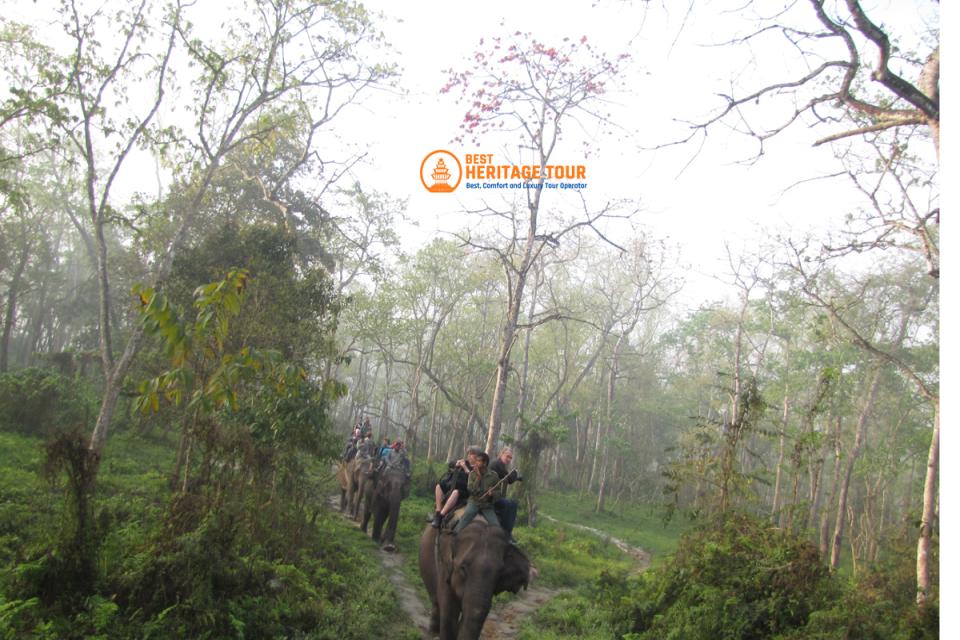 Chitwan National Park vs Bardia National Park