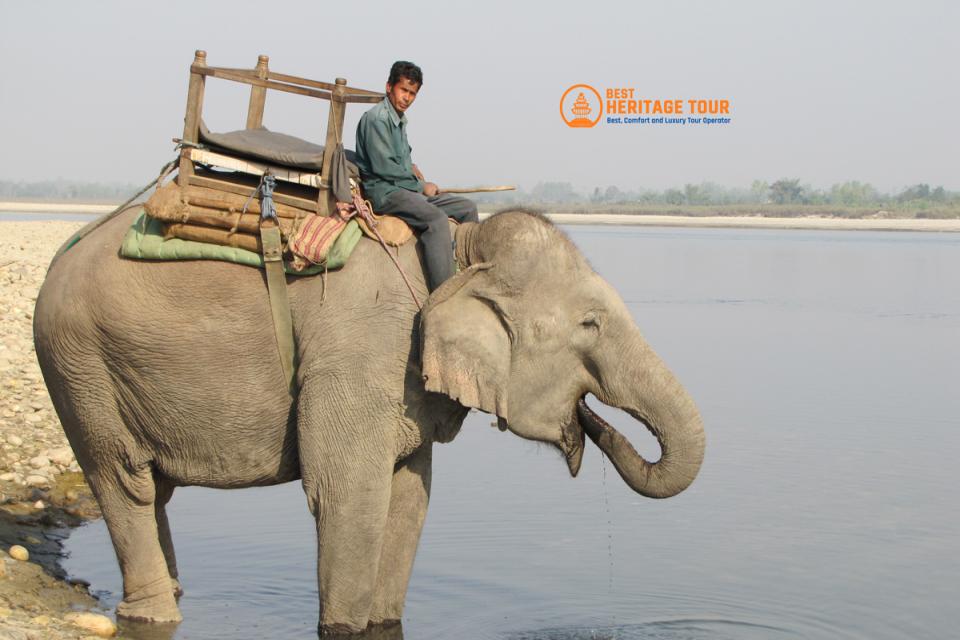 Top Wildlife and Nature Destinations in Nepal