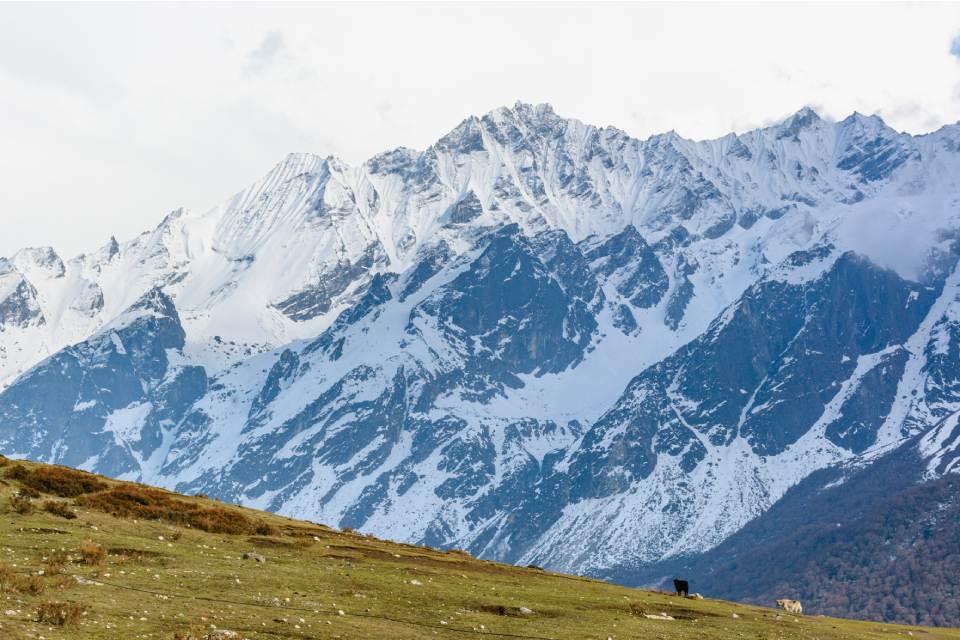 Things to do in Kyanjin Gompa