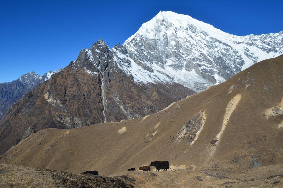 Langtang Valley Trek in April 2026