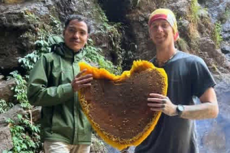 Finding Pure Mad Honey