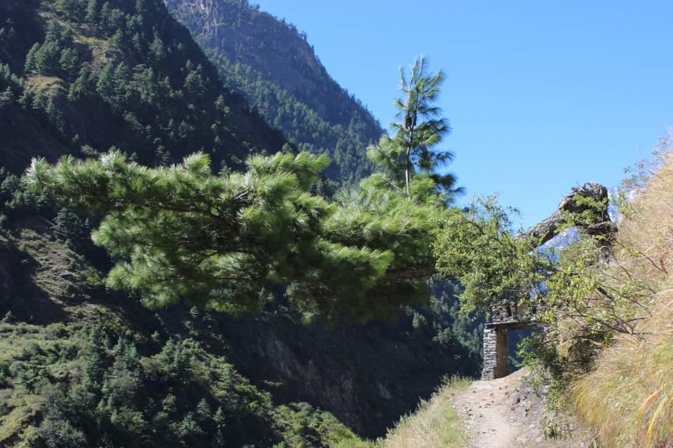 How Hard Is the Manaslu Circuit Trek?