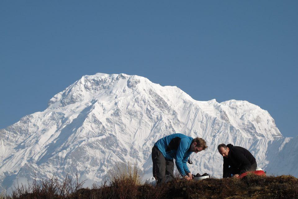 Why Choose Mardi Himal Trek?