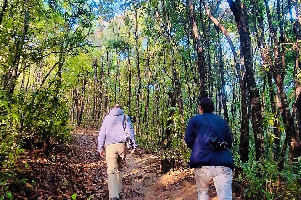 Phulchowki Birdwatching Tour