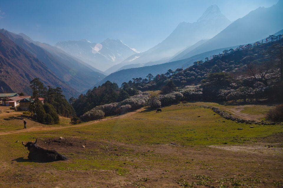 Food & Accommodation on Kanchanjunga Circuit Trek