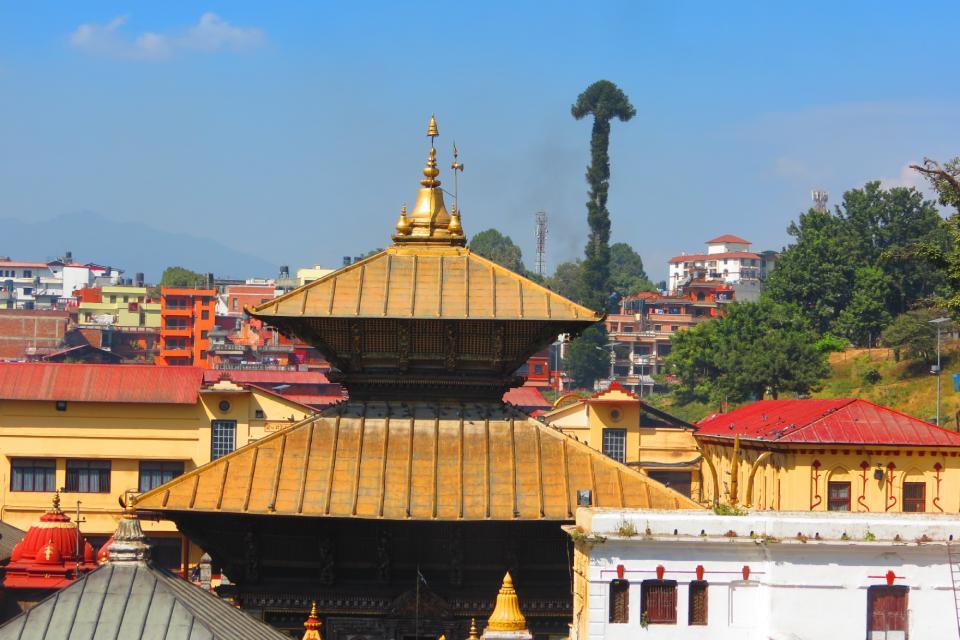 Maha Shivaratri in Nepal