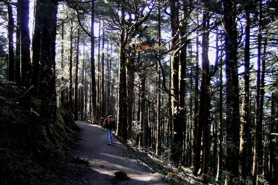 Top 5 Winter Treks in Nepal