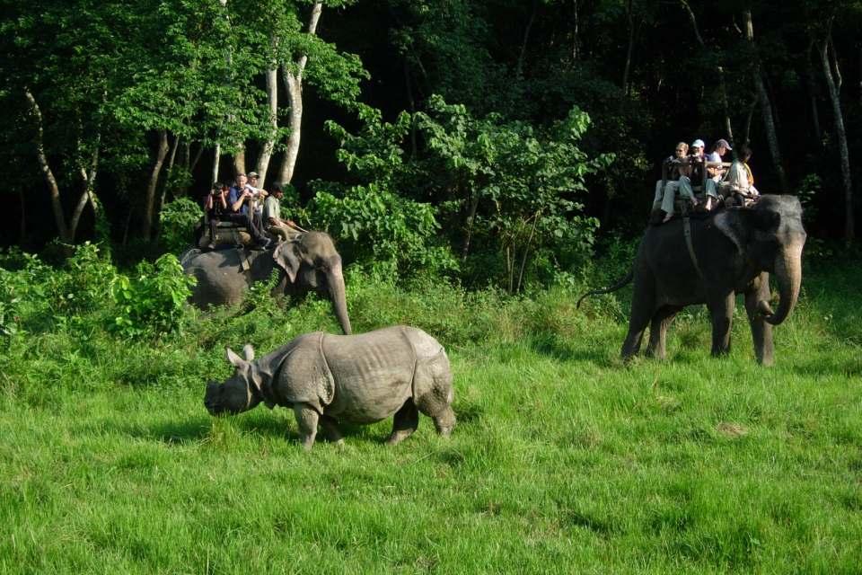 Things to Do in Bardiya National Park