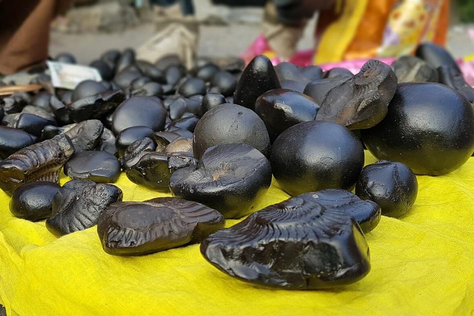 Shaligram