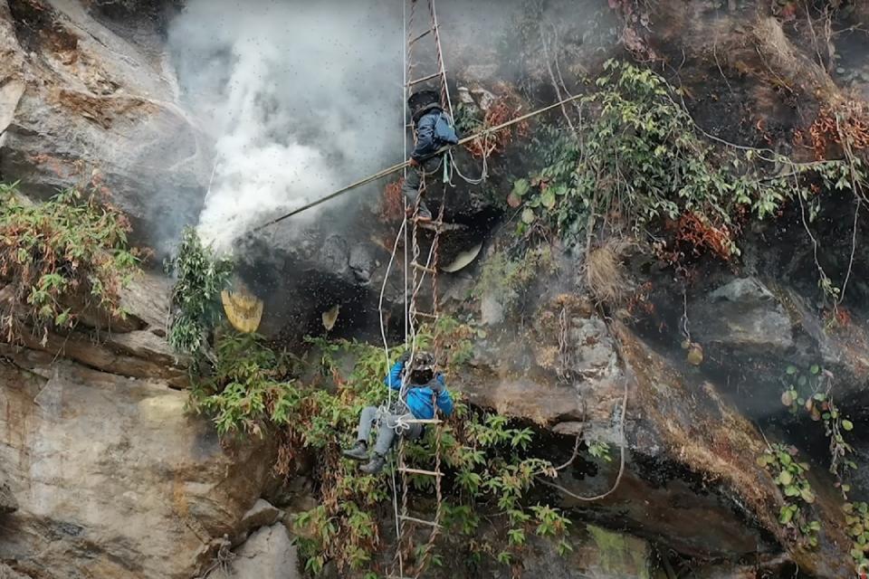 Mad Honey Hunting Price in Nepal