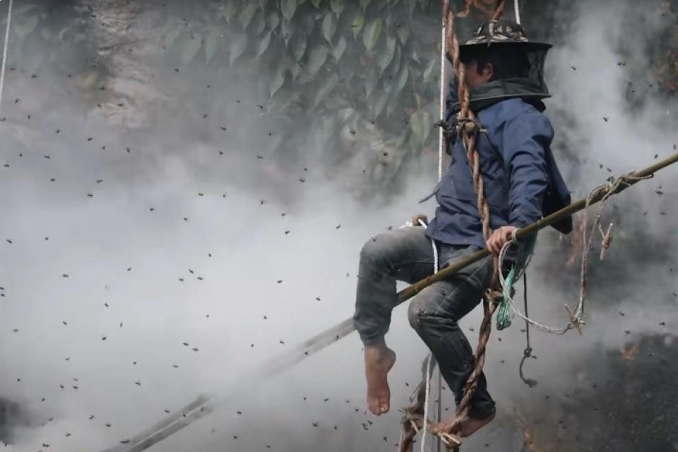 Nepal Honey Hunting Tour