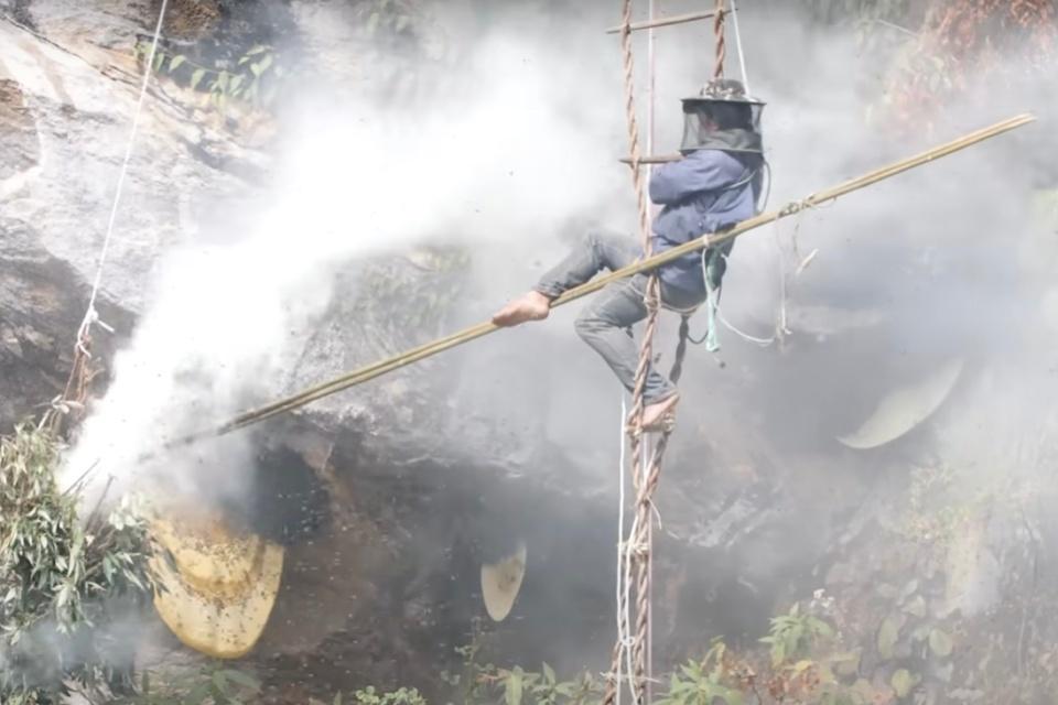 Equipment of Nepal's Mad Honey Hunters