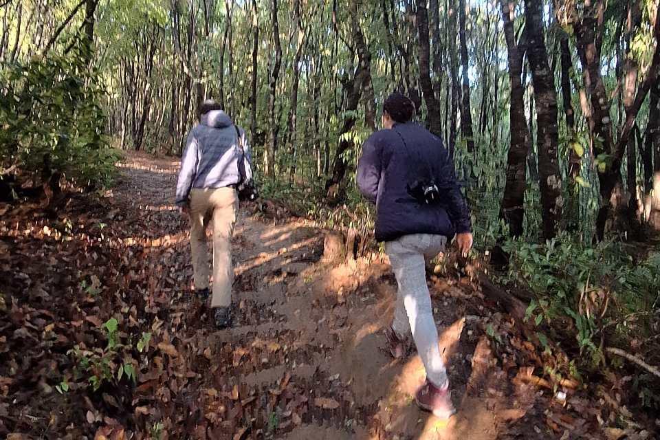 Best Winter Paradise Near Kathmandu