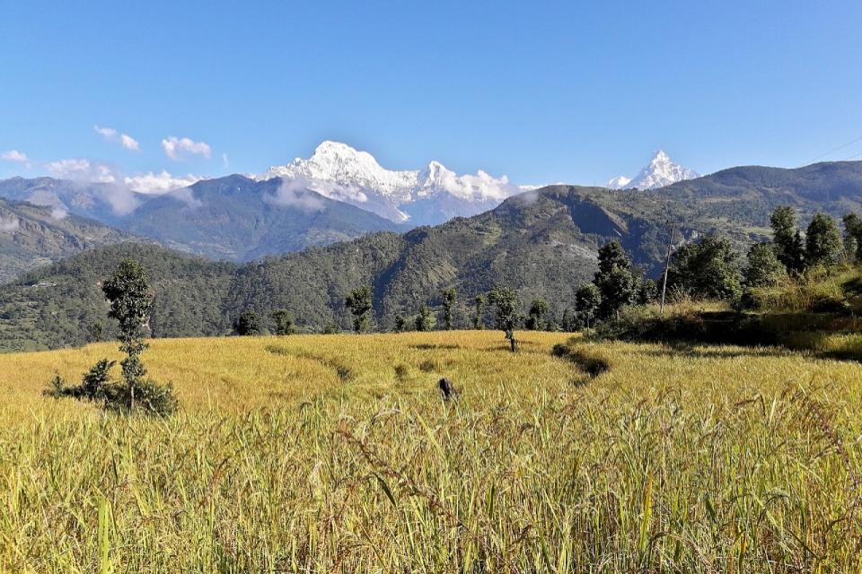 Panchase Trek from Pokhara