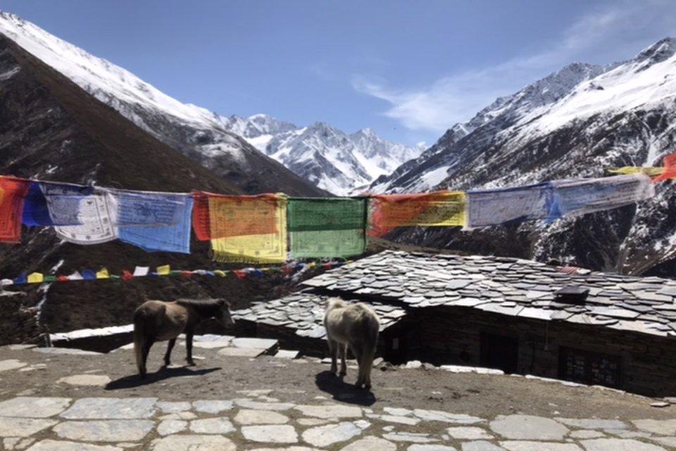 What Makes the TSUM Valley Special for Trekkers