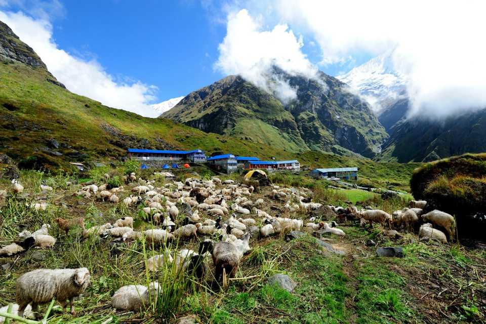 Annapurna Circuit Trek vs ABC Trek