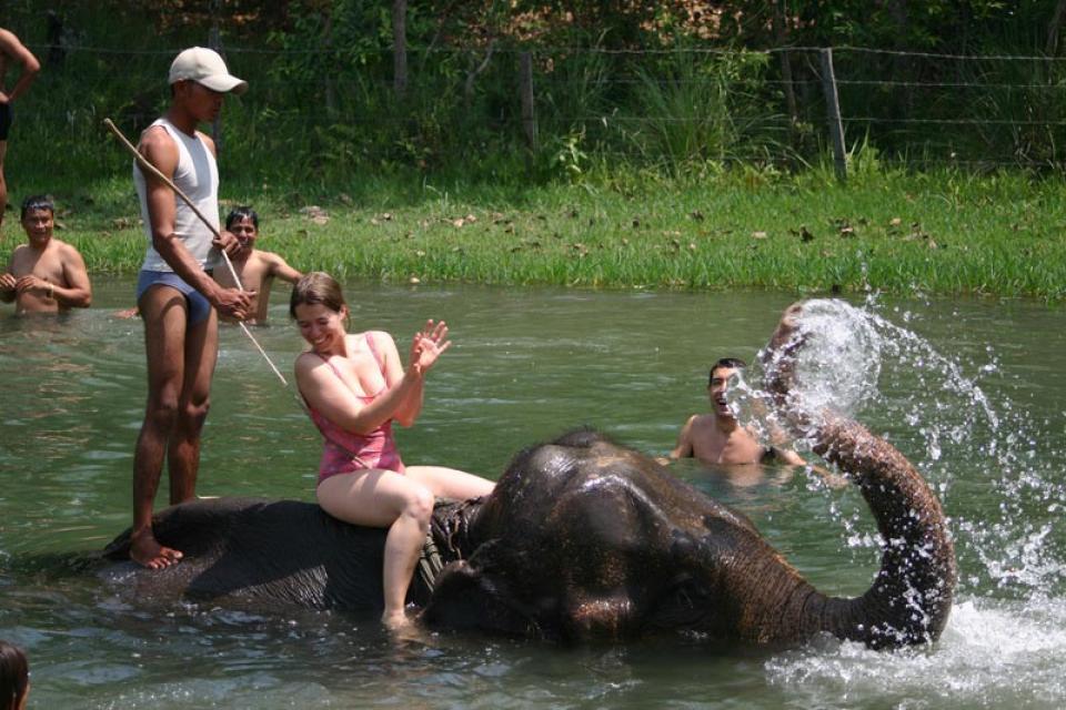 Best Time to Visit Nepal for Trekking, Wildlife & Festivals