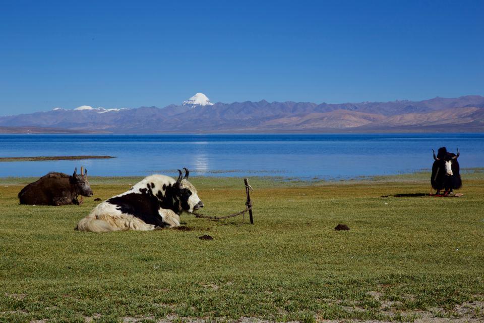 Why People Go for Kailash Manasarovar Yatra?