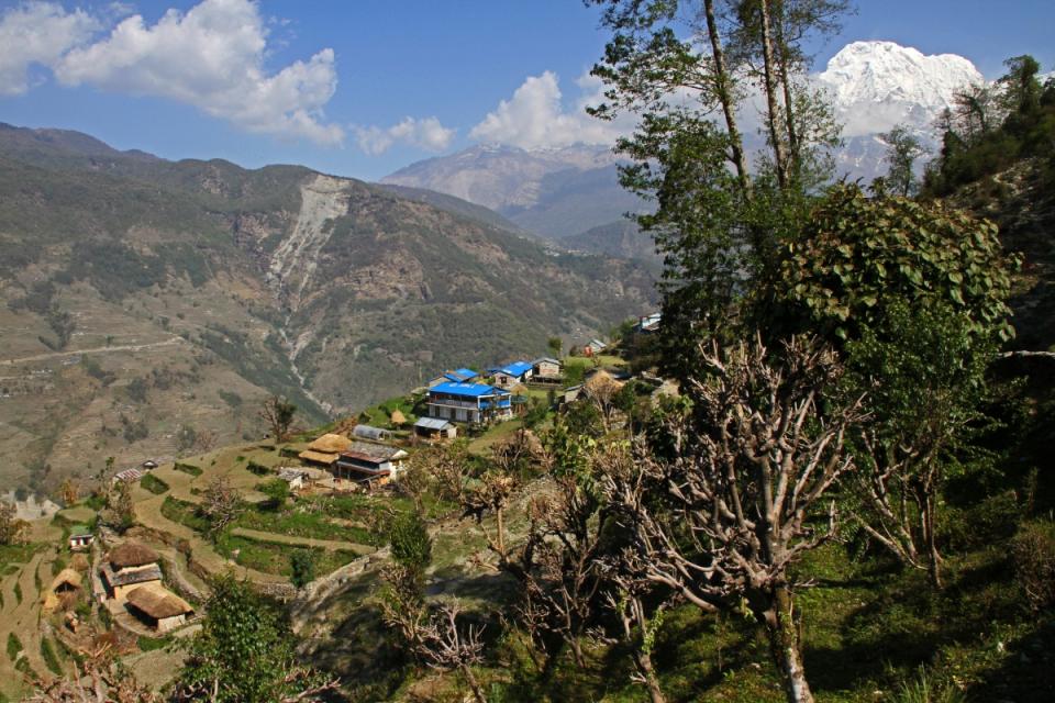 Dhampus Village Tour