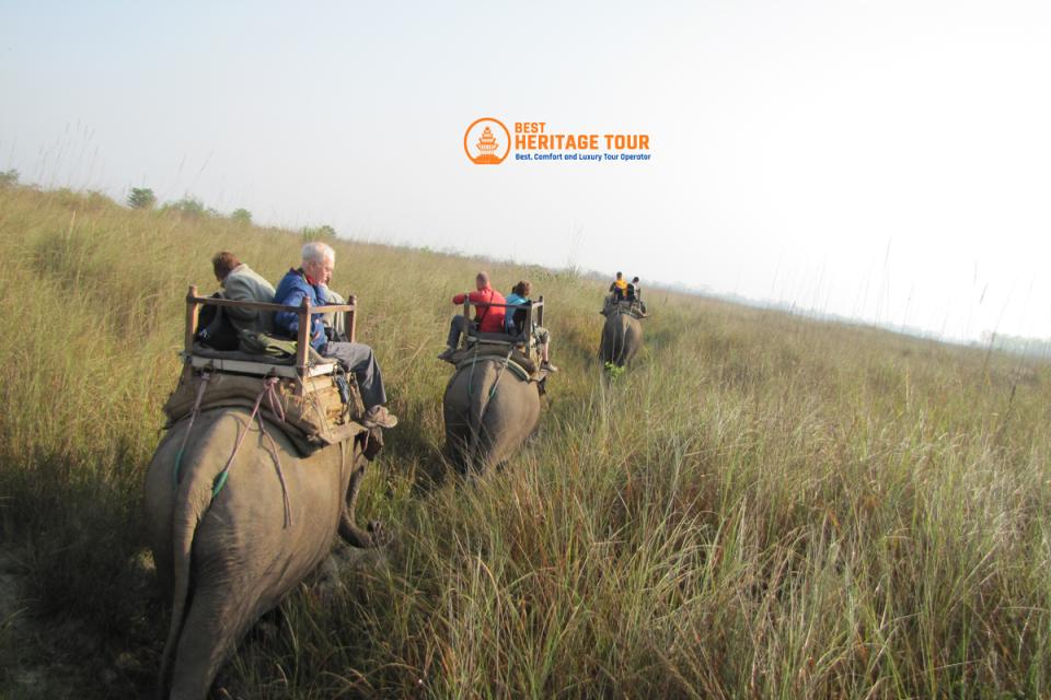 Chitwan Jungle Safari Tour
