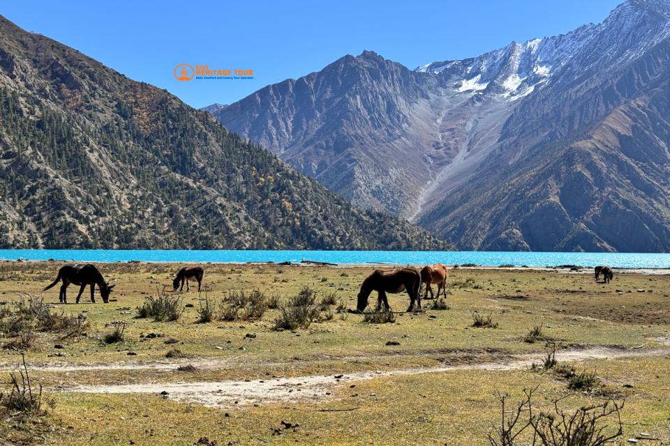 Lower Dolpo Trek