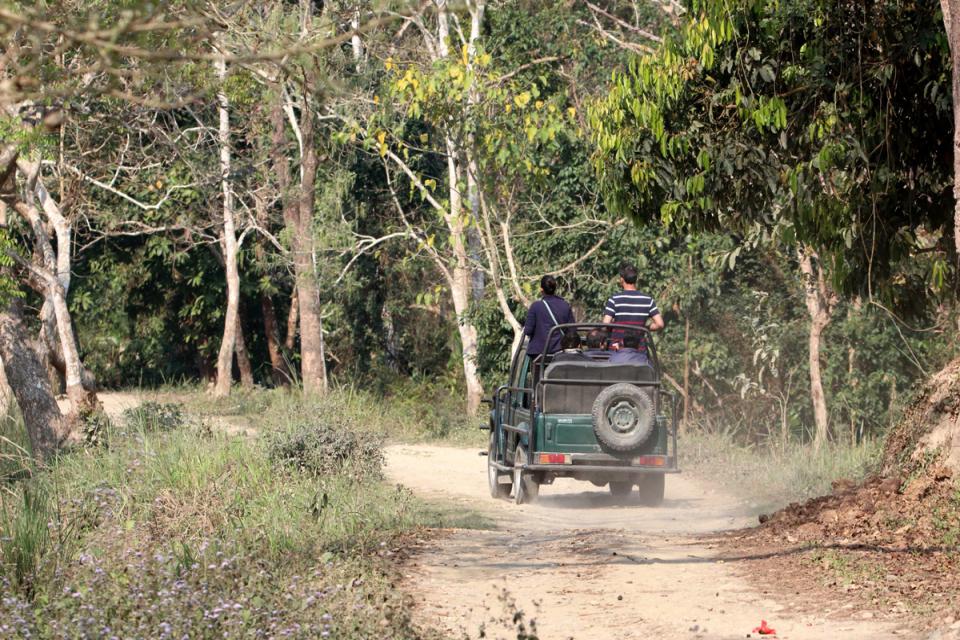 Wildlife Photography in Chitwan National Park